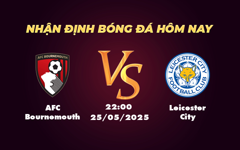 afc bournemouth leicester city 25 05 ngoai hang anh
