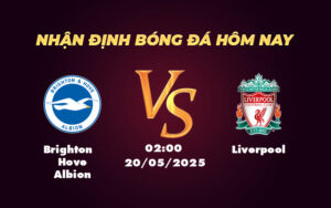 brighton hove albion liverpool 20 05 ngoai hang anh