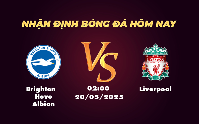 brighton hove albion liverpool 20 05 ngoai hang anh