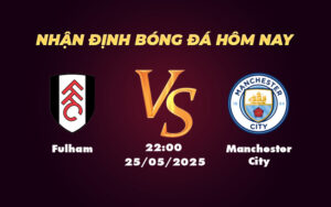 fulham manchester city 25 05 ngoai hang anh