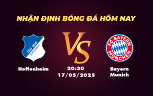 hoffenheim bayern munich 17 05 bundesliga