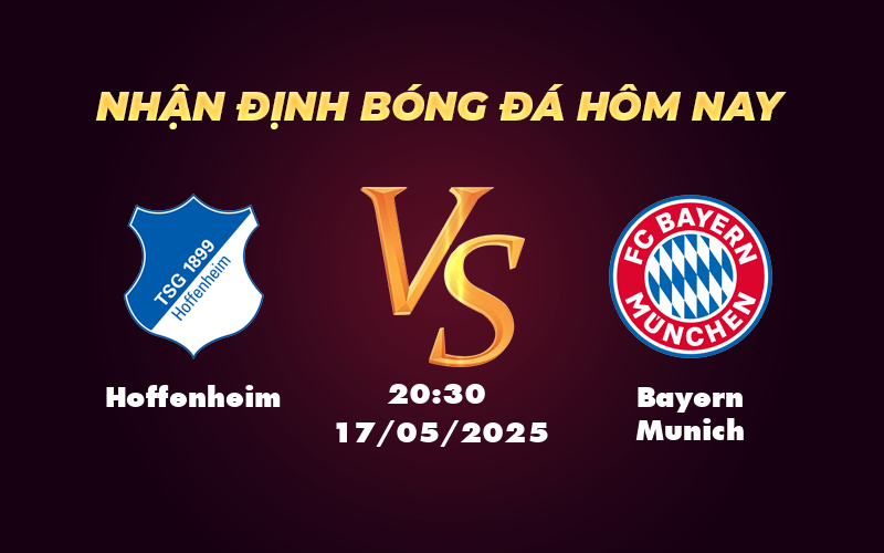 hoffenheim bayern munich 17 05 bundesliga