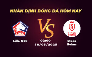 lille osc stade reims 18 05 ligue 1