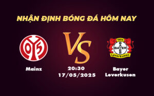 mainz bayer leverkusen 17 05 bundesliga