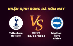 tottenham hotspur brighton hove albion 25 05 ngoai hang anh