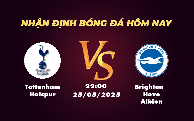 tottenham hotspur brighton hove albion 25 05 ngoai hang anh